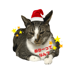 [LINEスタンプ] みずののおなす