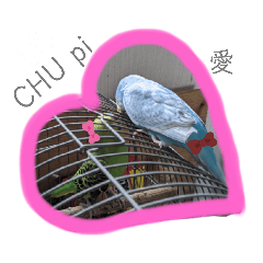 [LINEスタンプ] 泉家の素直夫婦〜カップル、友達、片思い