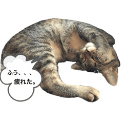 [LINEスタンプ] うにちゃんとろくんⅡ