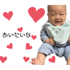 [LINEスタンプ] チビ恐竜Ruito