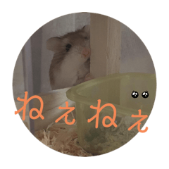 [LINEスタンプ] ハム庭スタンプ①