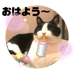[LINEスタンプ] テオット5