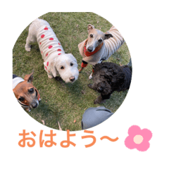 [LINEスタンプ] ここたfriends-1