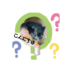 [LINEスタンプ] 山ちゃんちのももくん1