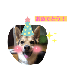 [LINEスタンプ] はな's スタンプ2