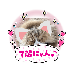 [LINEスタンプ] もふもふちゃめたん