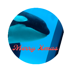 [LINEスタンプ] 水族館のXmas