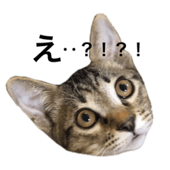 [LINEスタンプ] うにとろⅢ