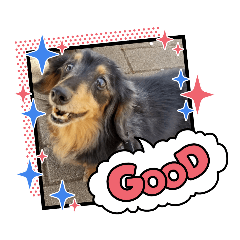 [LINEスタンプ] チェッチャンスタンプ
