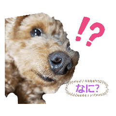 [LINEスタンプ] たまには言いたい
