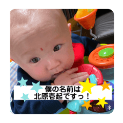 [LINEスタンプ] キュートな壱起