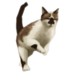 [LINEスタンプ] ハナクロさん