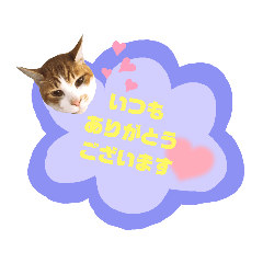 [LINEスタンプ] てばさんのスタンプ3
