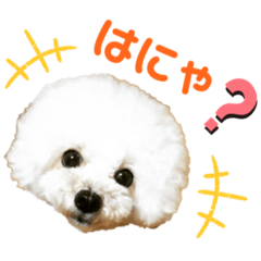 [LINEスタンプ] pannacotta2017①