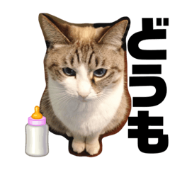 [LINEスタンプ] テオット6