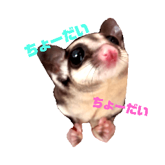 [LINEスタンプ] フクロモモンガのフクちゃん☆