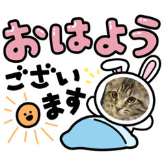 [LINEスタンプ] トラミコムヒサシ