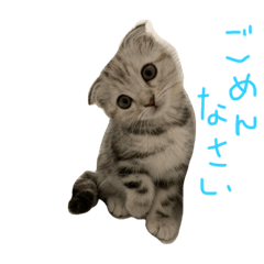[LINEスタンプ] ここちゃんの一日