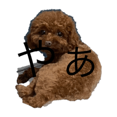 [LINEスタンプ] コロ助がいる