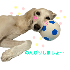 [LINEスタンプ] サルーキのジェダイト♪