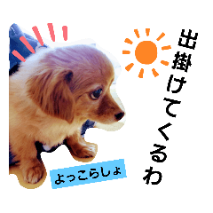 [LINEスタンプ] うちのqooのつぶやき