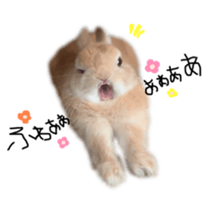 [LINEスタンプ] うさぎのてとまる。3
