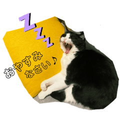 [LINEスタンプ] にゃんちゃんパート1