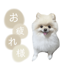 [LINEスタンプ] putty❤︎