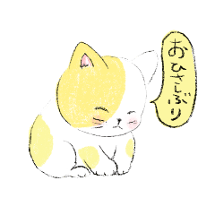 [LINEスタンプ] 毎日ねこ100%