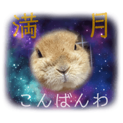 [LINEスタンプ] ちょびじぃ2