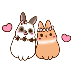 [LINEスタンプ] うさちゃんずスタンプ✳︎