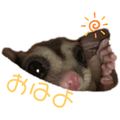 [LINEスタンプ] ももんがすたんぷ