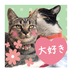 [LINEスタンプ] 甲鍵ファミリー