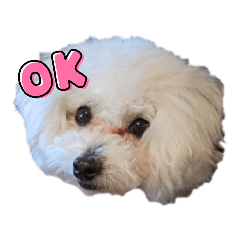 [LINEスタンプ] アロ♡モア