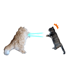 [LINEスタンプ] もふもふ猫と短足猫