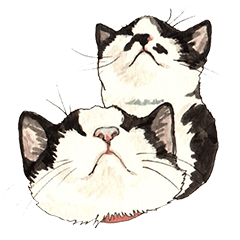 [LINEスタンプ] 保護猫スタンプPart3