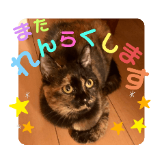 [LINEスタンプ] 辻川家の花ちゃんキュート編