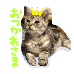 [LINEスタンプ] うちのれんちゃん♥