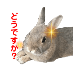 [LINEスタンプ] ハルくんスタンプ！第二弾