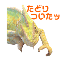 [LINEスタンプ] 思い出アーカイブスタンプ①