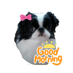 [LINEスタンプ] 狆の可愛い挨拶