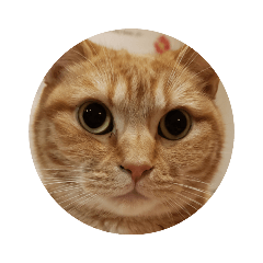 [LINEスタンプ] ふうこたろうこんこ