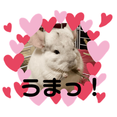 [LINEスタンプ] DAIHUKUKUN