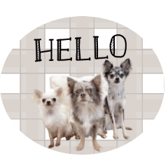 [LINEスタンプ] ♡ぽこ・ぴの・ぱに・ペる・ぷてちゃん