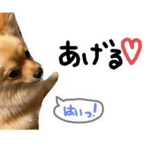 [LINEスタンプ] ポメチワぽんた1