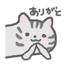 [LINEスタンプ] 吹き出し子猫ちゃん