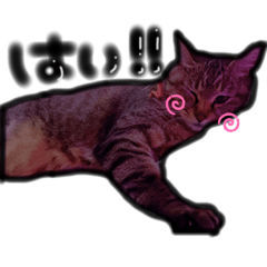 [LINEスタンプ] プリン＆ポチ