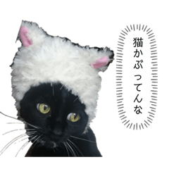 [LINEスタンプ] 今日も驚くジジちゃんパート②
