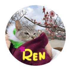 [LINEスタンプ] うちのれんちゃんNo.2