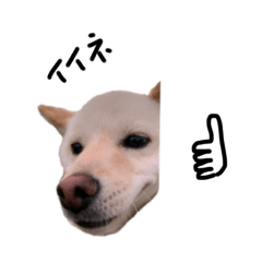[LINEスタンプ] きょうのむぎ1
